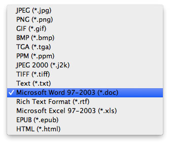 Seleccionar el formato de conversión del Word