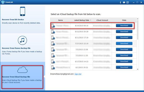 Descargar la copia de seguridad deseada