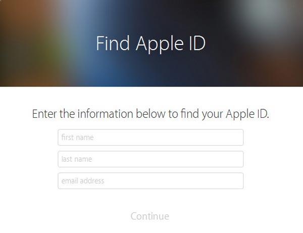 Insertar los datos solicitados