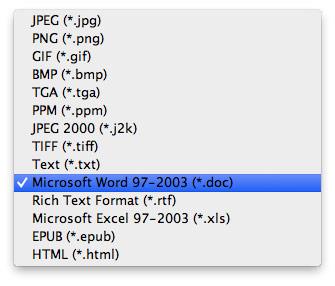 Seleccionar el formato DOC para conversión
