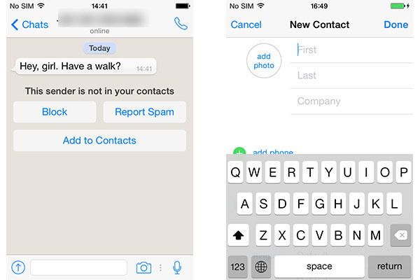 Añadir Contactos WhatsApp iPhone FoneTrans